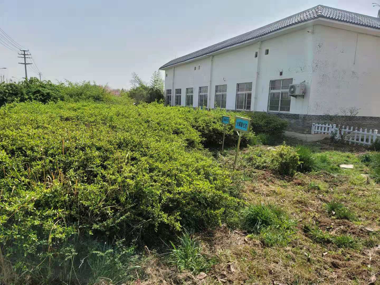 蘭陵縣人民醫(yī)院醫(yī)院污水處理